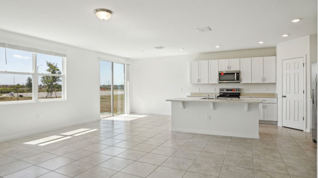 Hibiscus model in Poinciana