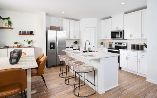 Zion Exterior floorplan