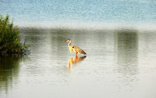Flagler Estates Exterior