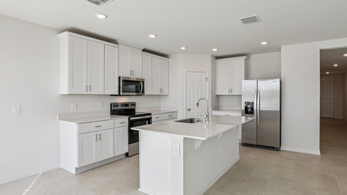 Hibiscus model in Poinciana