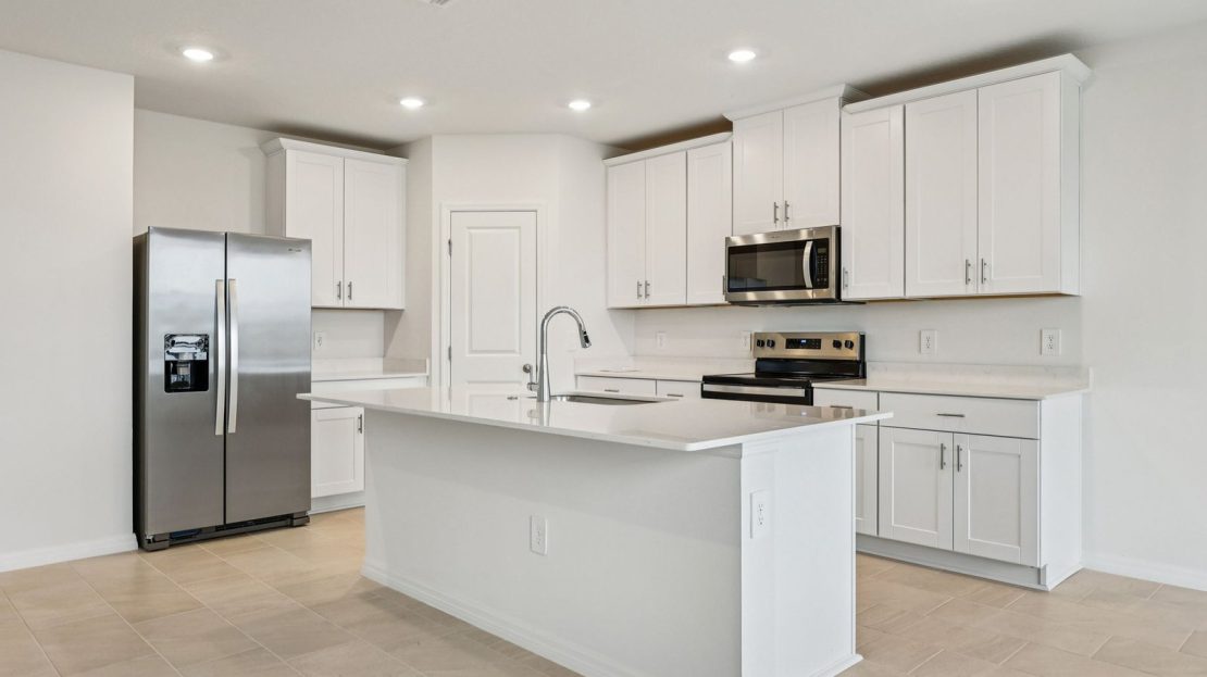 Hibiscus model in Davenport