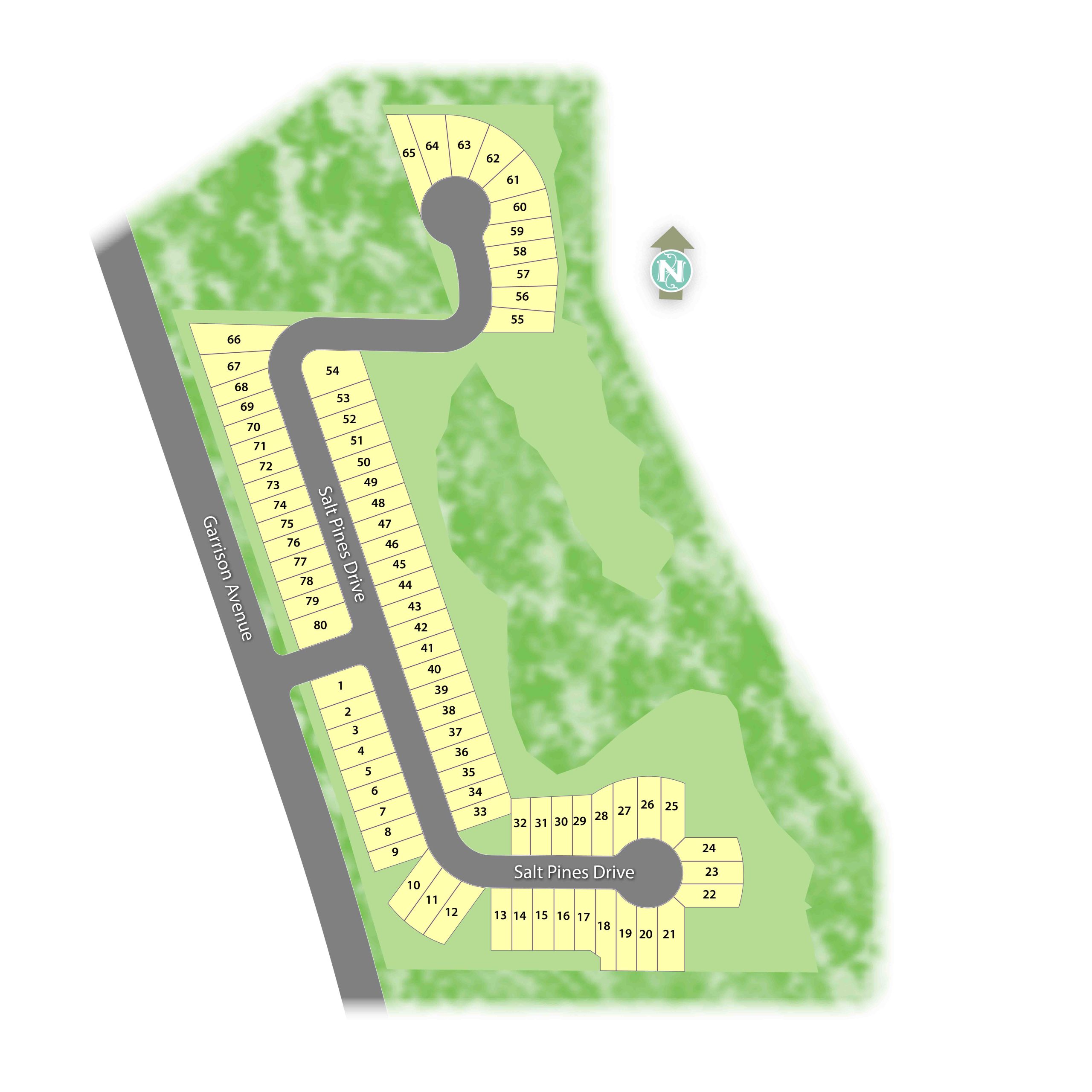 Salt Pines Siteplan