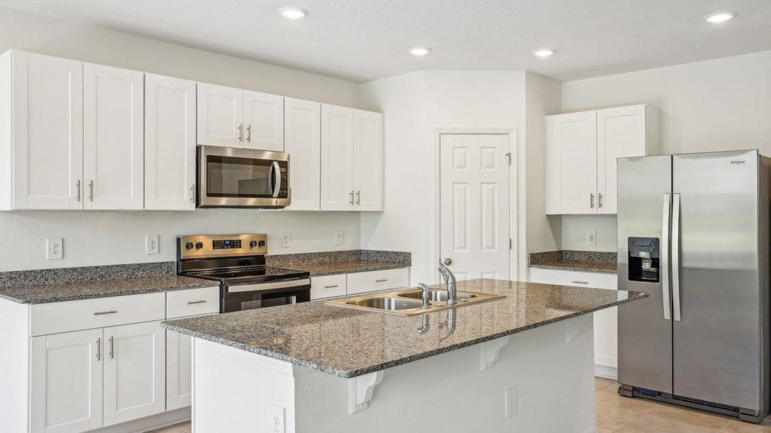 Hibiscus model in Poinciana