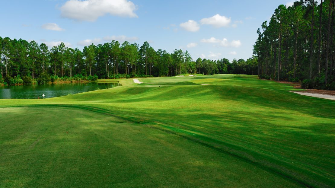 The District at Oakleaf - The Commons by Meritage Homes