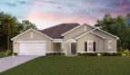 Grand Oaks: Edinburg Model