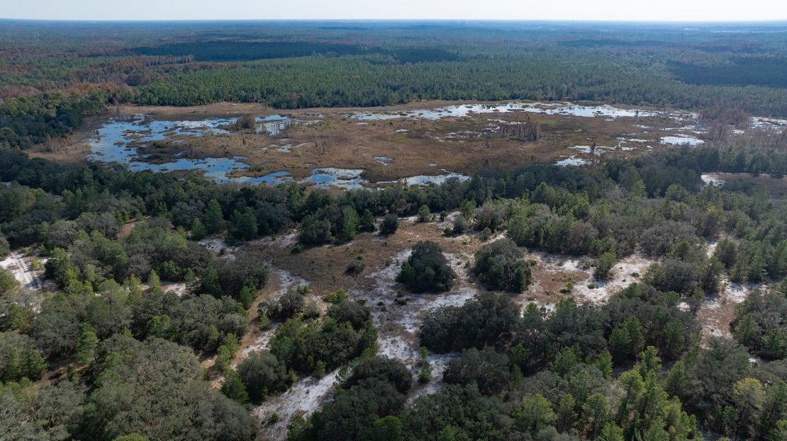 Soleta at Starkey Ranch - Cottage Series Tampa