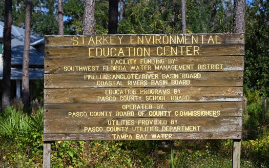 Soleta at Starkey Ranch – Traditional Series Odessa Florida