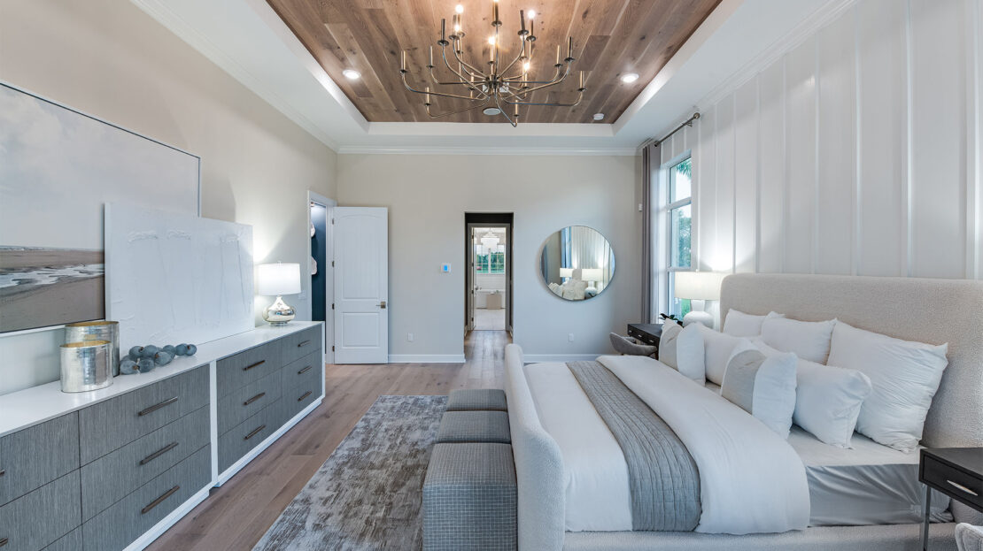 Canter in Wellington