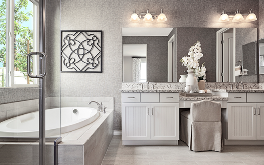 Infographic: What Defines a Deluxe Bath Upgrade? Key Features Explained