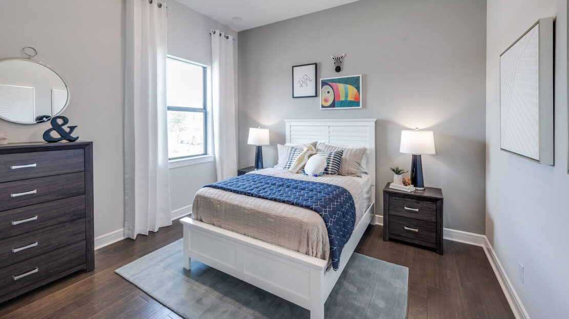 Ashby Model at Hendrix Reserve New Construction