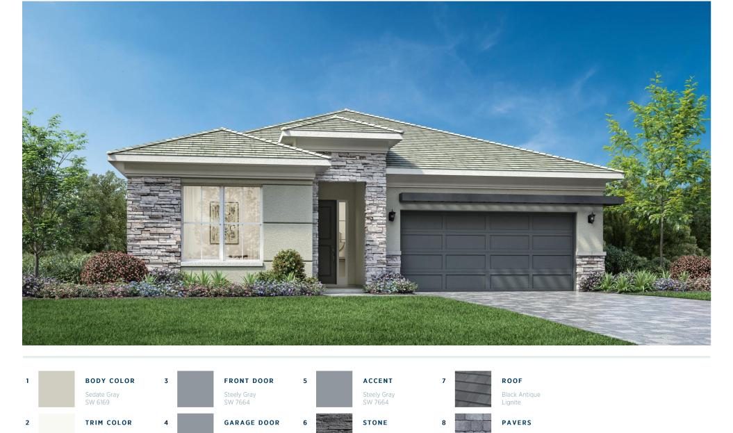 Jesalin Transitional Model at Regency at Avenir New Construction