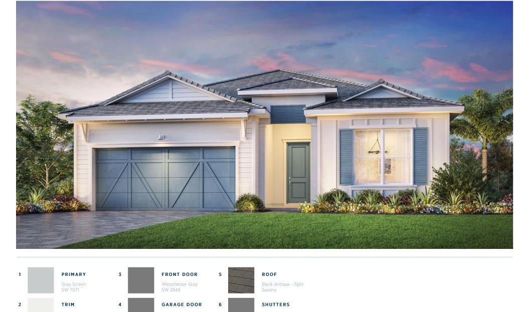 Maya Coastal Model at Regency at Avenir New Construction