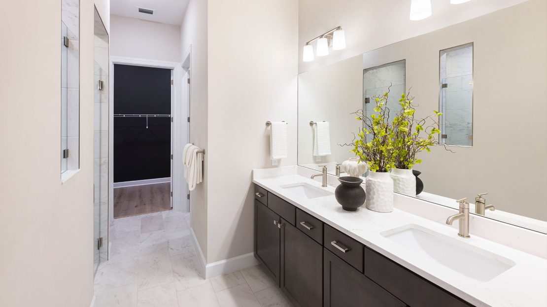Mystique Model at Emerson Oaks Single Family