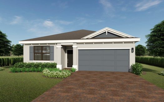 Freeport Model